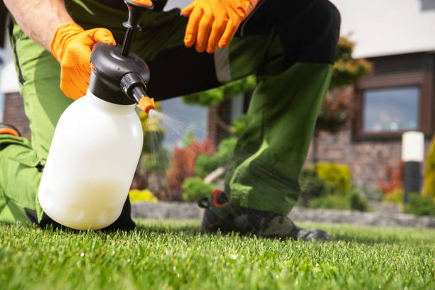 Professional Pest Control in Tularosa, NM