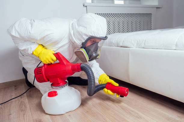 Best Pest Prevention Services  in Tularosa, NM