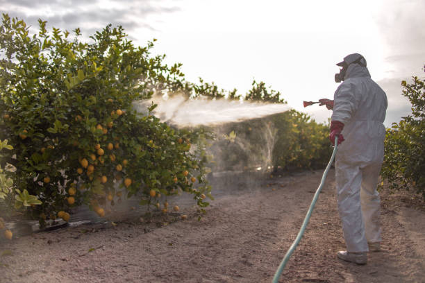 Best Exterminator Services  in Tularosa, NM