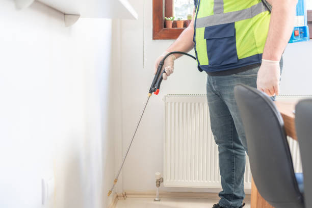 Best Affordable Pest Control Services  in Tularosa, NM