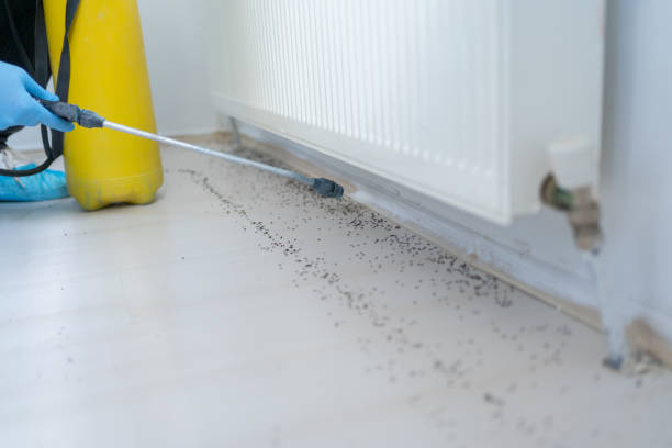 Best Emergency Pest Control  in Tularosa, NM