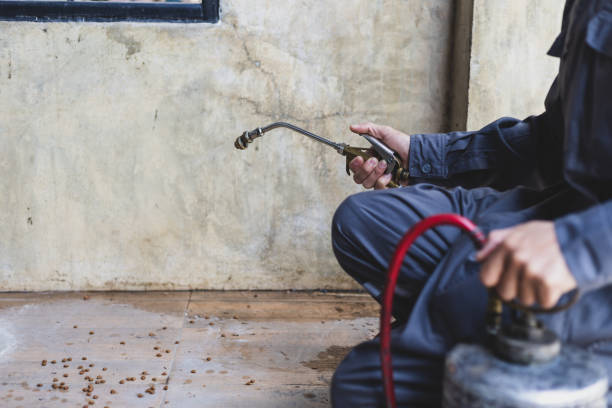 Best Pest Control for Businesses  in Tularosa, NM